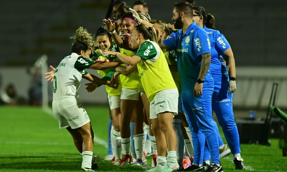 palmeiras