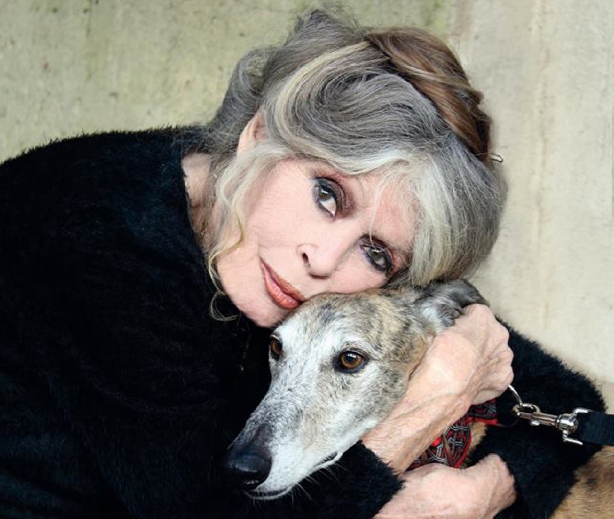 Morre Brigitte Bardot, lenda do cinema e ativista, aos 91 anos