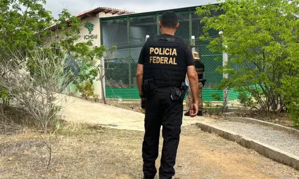 Criadouro ararinha-azul investigado pela PF afirma ter comunicado primeiro caso de vírus letal às autoridades