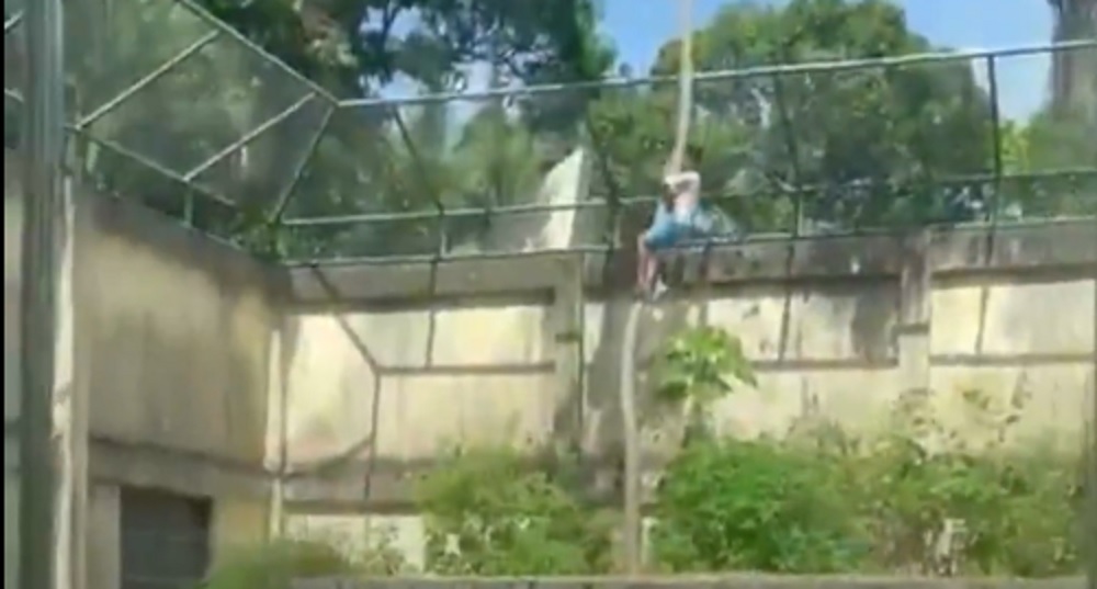 Invasão Zoológico