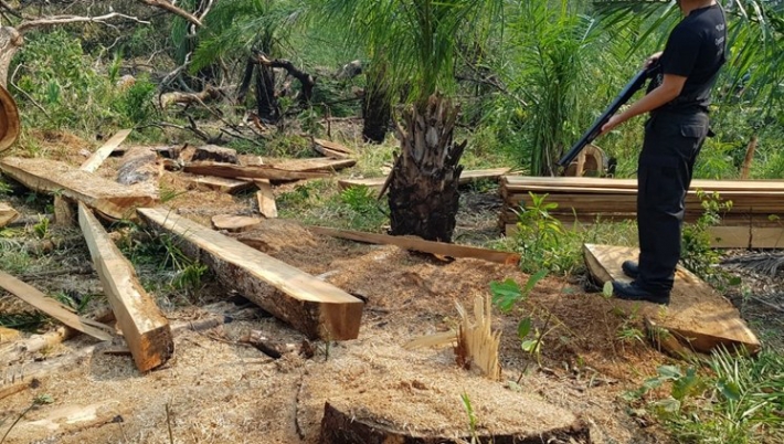 Acordo Mercosul–UE e o peso da agenda ambiental