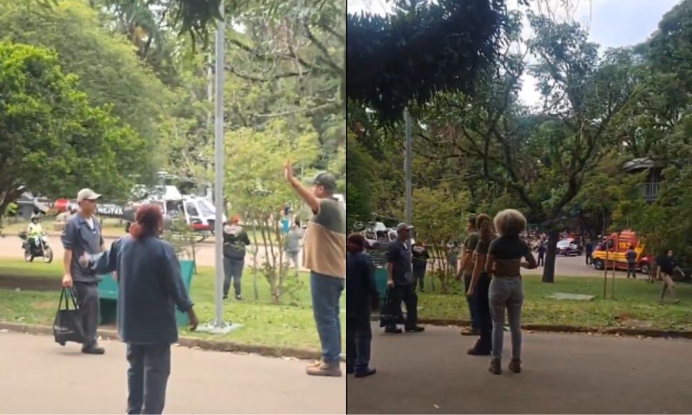 queda de árbore ibirapuera