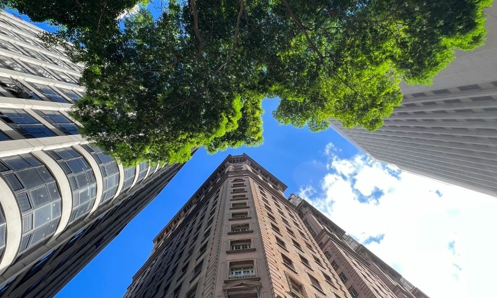 são paulo