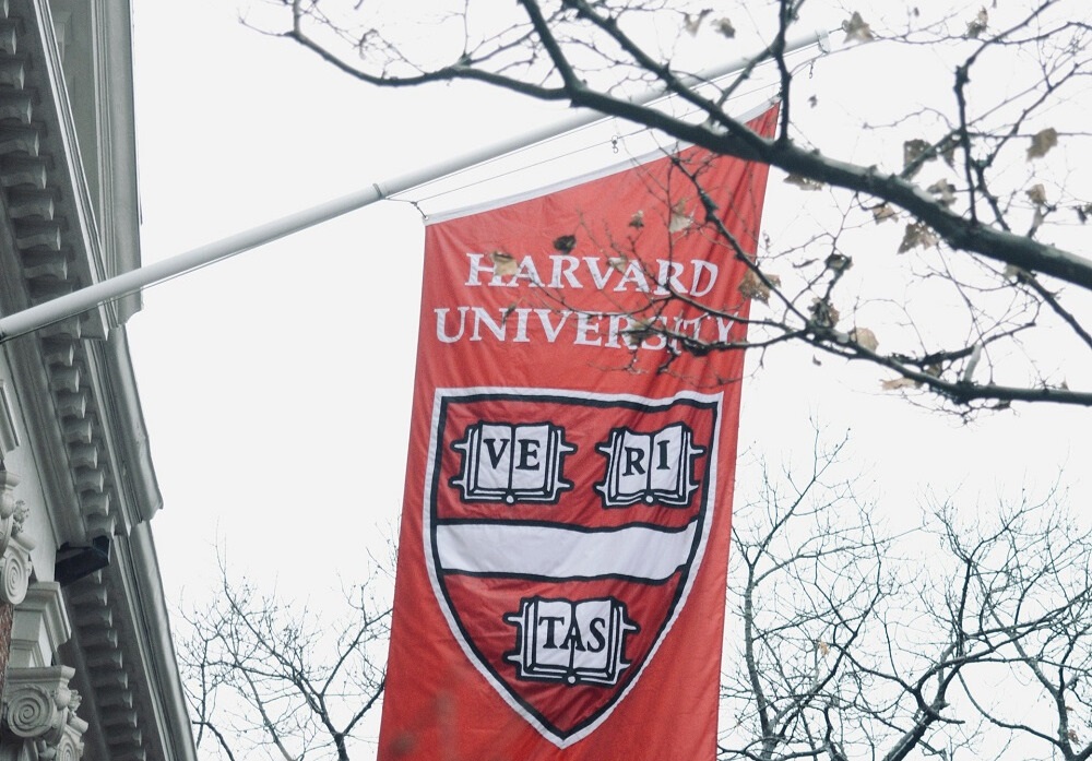Pesquisa da Harvard confirma a importância da comunicação na carreira