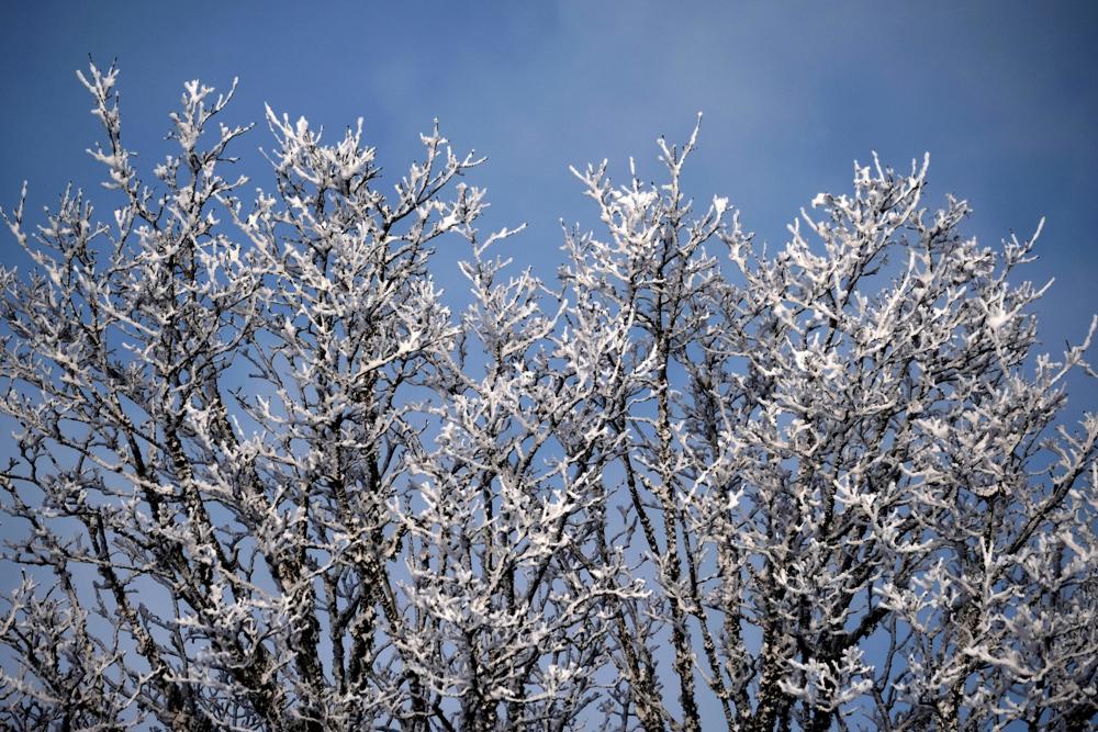SP bate novo recorde de frio em 2026 e atinge menor temperatura do ano