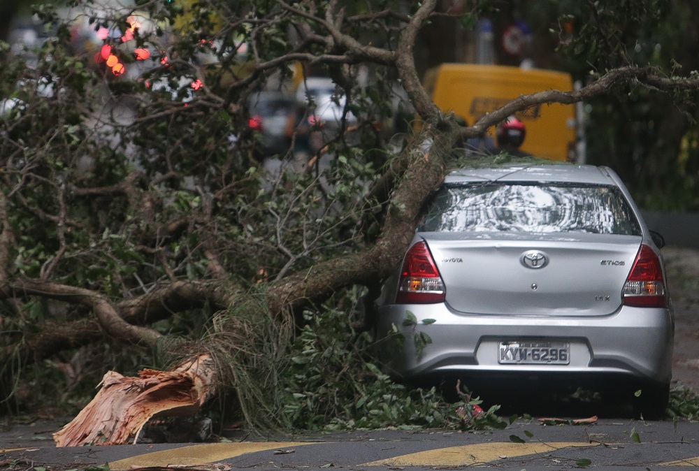 Ventania em São Paulo expõe fragilidade das cidades diante do clima extremo