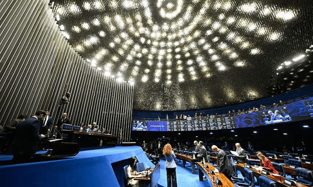 Senado aprova guarda compartilhada de animais de estimação em caso de divórcio