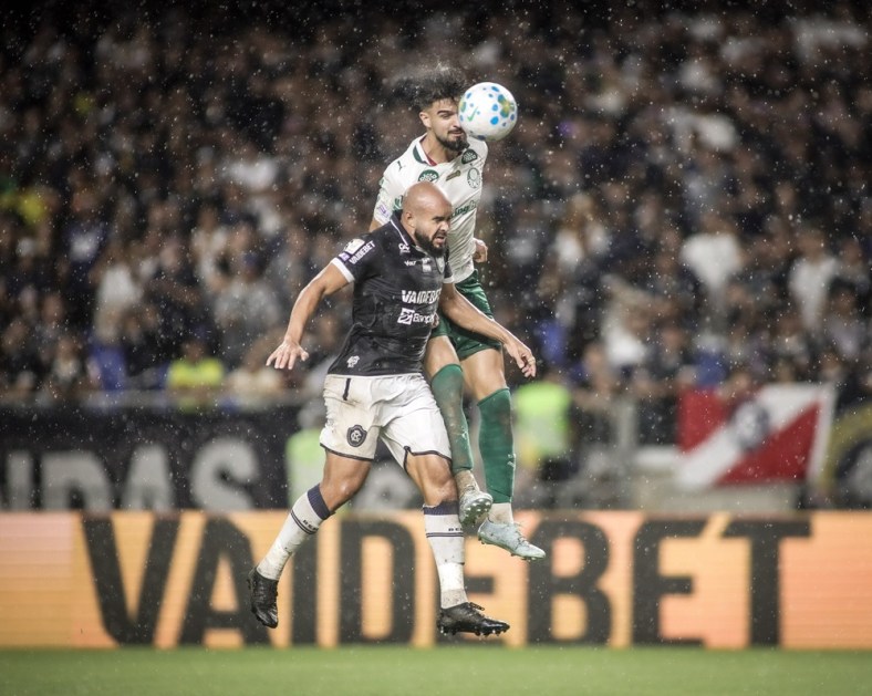 Palmeiras x Remo