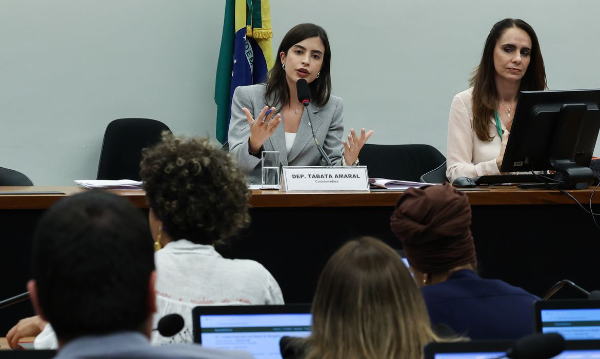 Grupo de Trabalho da Câmara aprova projeto que equipara misoginia ao crime de racismo