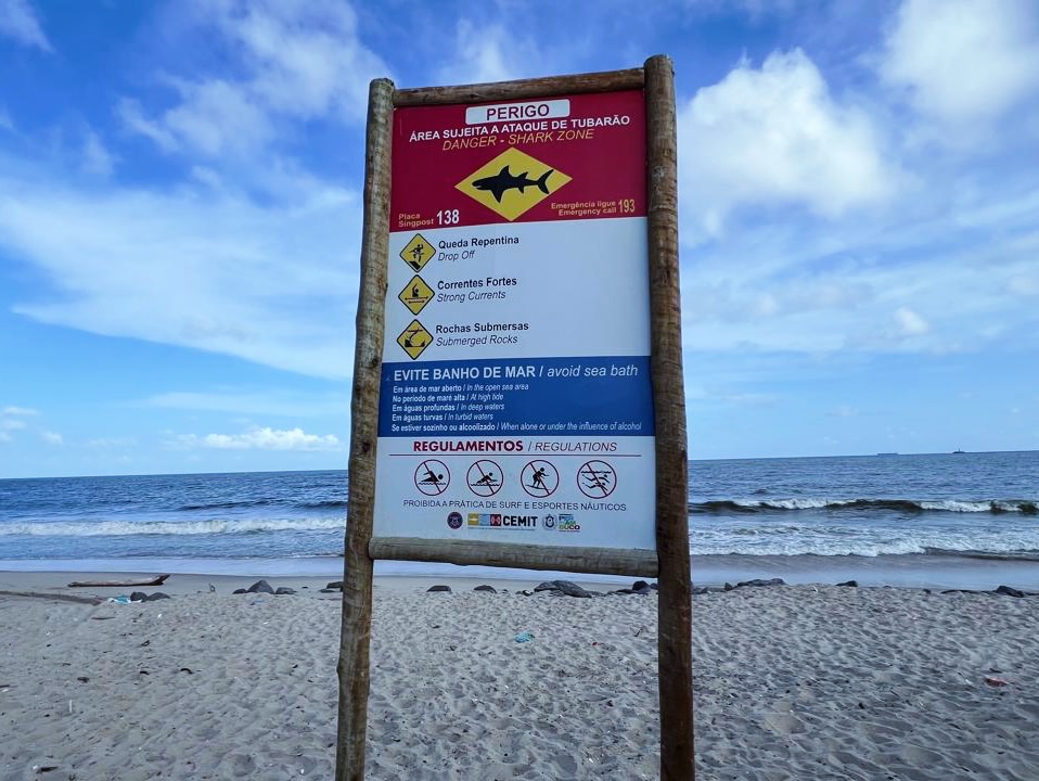 Mulher é mordida por tubarão em praia de Recife; veja vídeo
