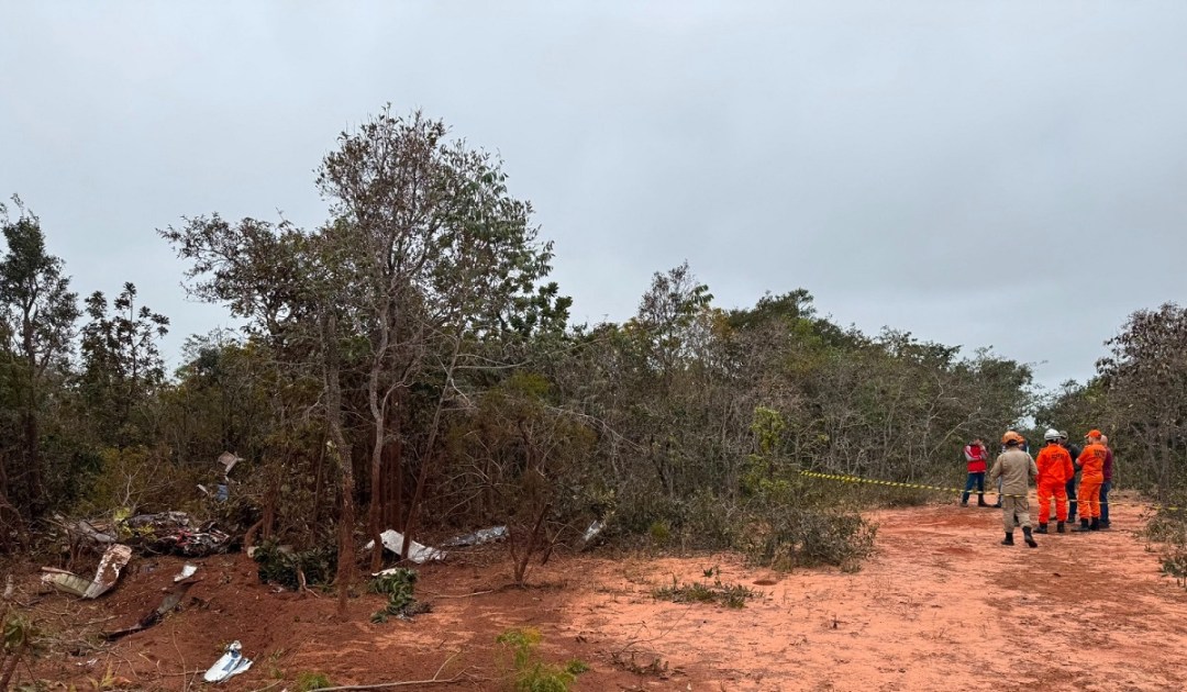 Imagens da queda de avião no Mato Grosso do Sul, com restos do avião na mata