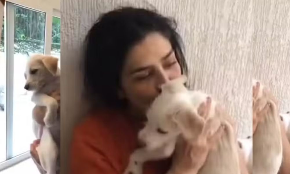 Justiça do RJ ordena devolução do cachorro de Letícia Sabatella e autoriza uso de força policial