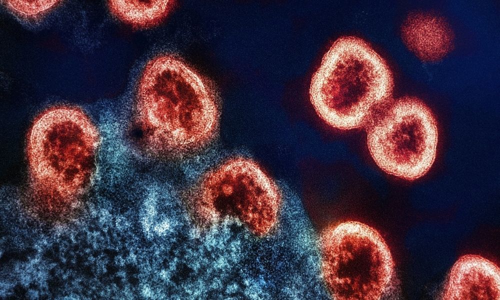 Se a prevenção ao HIV evoluiu tanto, por que os novos casos ainda sobem no Brasil?