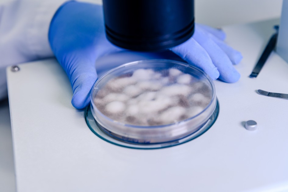 Laboratório