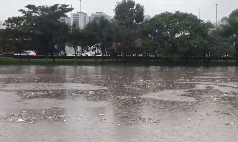 Após fortes chuvas, Rio Tietê sobe e fica perto de transbordar em SP